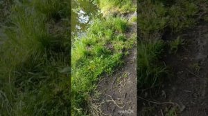 Первый запуск кораблика V020 GPS