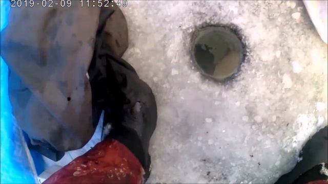 Нескучный выходной 09 02 2019 смотреть онлайн
