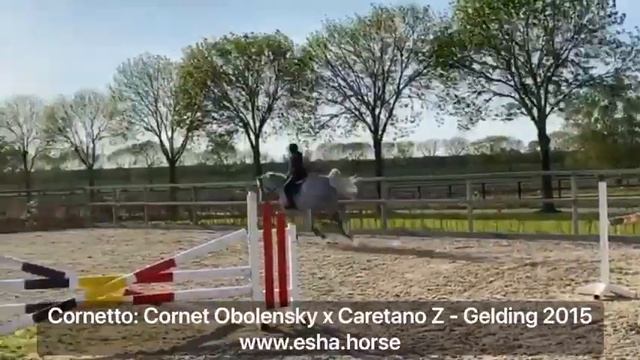 Cornetto: Cornet Obolensky x Caretano Z смотреть онлайн