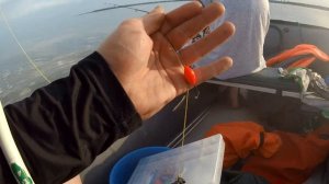 Ловля пеленгаса в Таганрогском заливе с лодки.