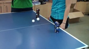 Как выбрать мячи для настольного тенниса