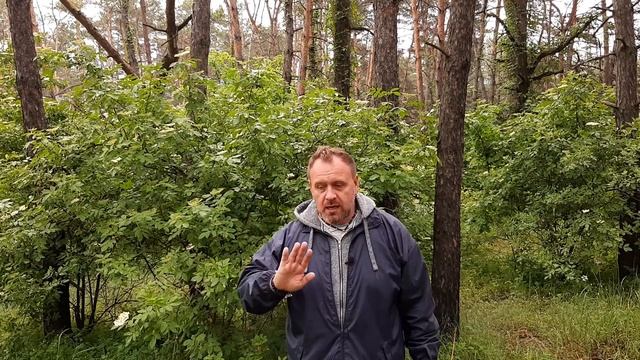 Тоска. Что с этим делать смотреть онлайн