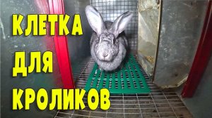 ПОЛУПРОМЫШЛЕННАЯ СУПЕР КЛЕТКА ДЛЯ КРОЛИКОВ СВОИМИ РУКАМИ