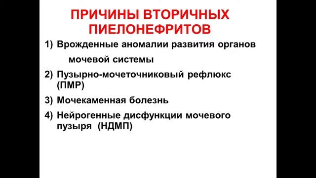 АФО и заболевания МОЧЕВОЙ системы