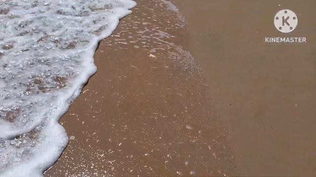 МЕЛИТОПОЛЬ.с.СТЕПАНОВКА ПЕРВАЯ.АЗОВСКОЕ МОРЕ смотреть онлайн