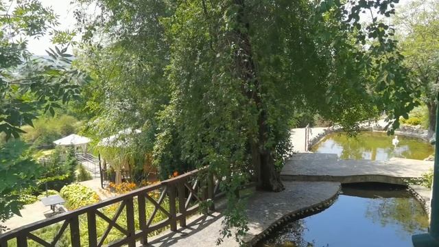 14.07.21. Прогулка по парку Родник, г.Пятигорск. Лебеди в пруду, маленькие лягушата и рыбы. смотреть онлайн