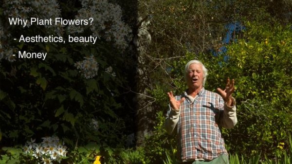 The 3 MOST IMPORTANT Reasons to Plant Flowers in Your Yard, Garden or Farm