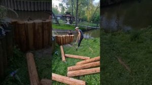 Укрепление берегов лиственницей