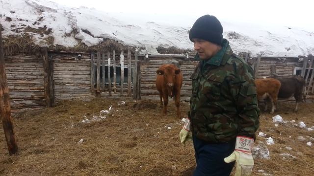 О соревновании, о сене и о пополнении. смотреть онлайн