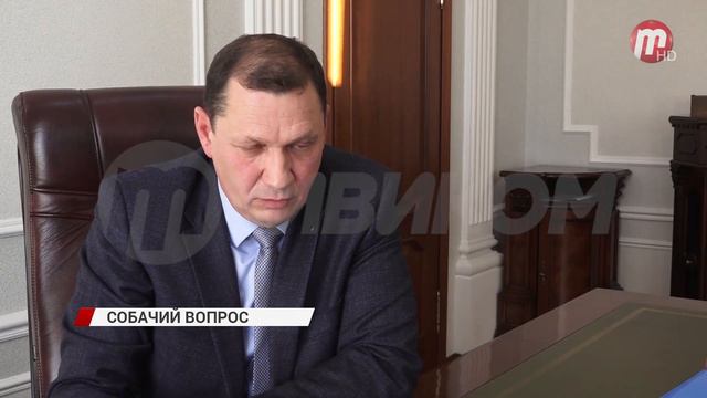 Мэр Улан-Удэ с главами других городов обсудил проблему безнадзорных животных