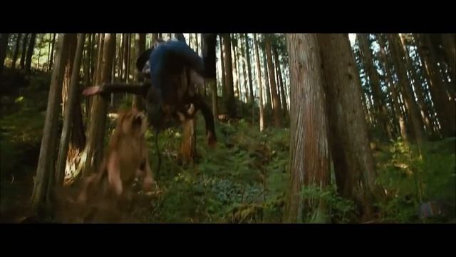 Приречена. Історія Вратислави. Книги онлайн! Букнет смотреть онлайн