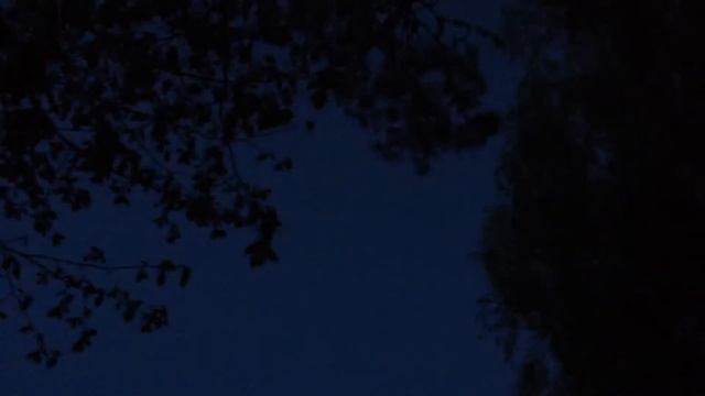 Вечеромъ майскiя жуки гудятъ. 08.05.15 смотреть онлайн