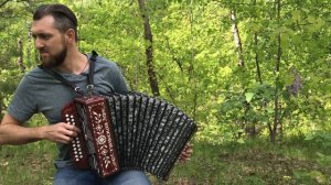 Одинокая ветка сирени на гармони