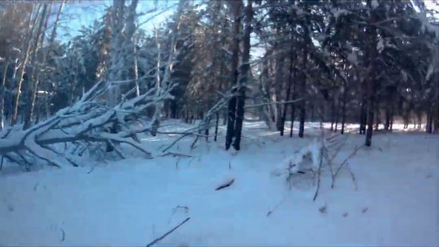 ОХОТА на Куницу с РЕЛ смотреть онлайн