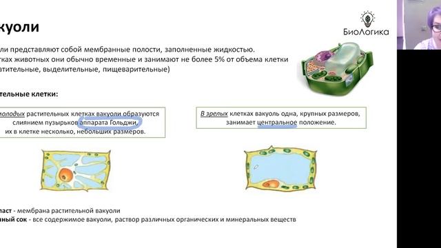 Лекция 5-2. Клетка 2. смотреть онлайн