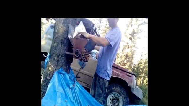 За шишкой в тайгу за Тальяны. смотреть онлайн