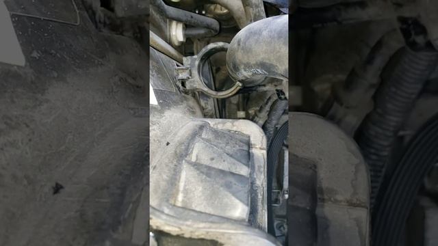 Alternator replacement 2013 Hyundai Equus Signature 5.0 смотреть онлайн
