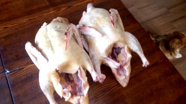 Вес тушки в 4-месяца -утка стар53 и индоутка. смотреть онлайн