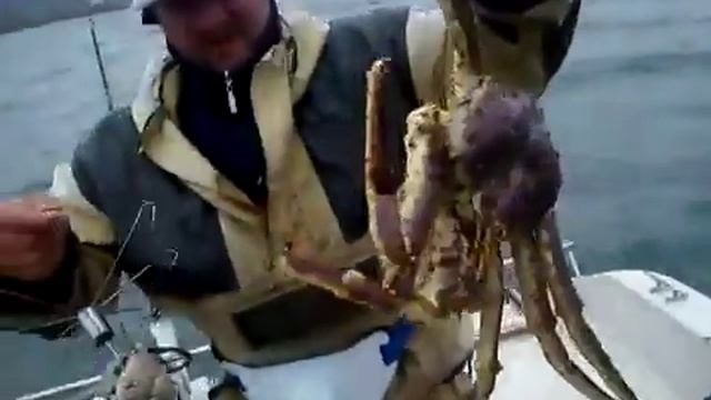 Дядя Тёма! Рыбалка на краба с катера. Владивосток Приморский Край. Приморье. Находка, Врангель. смотреть онлайн