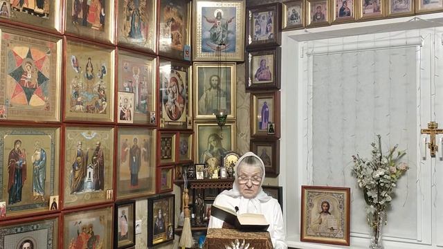 Преподобная Феодора Цареградская .