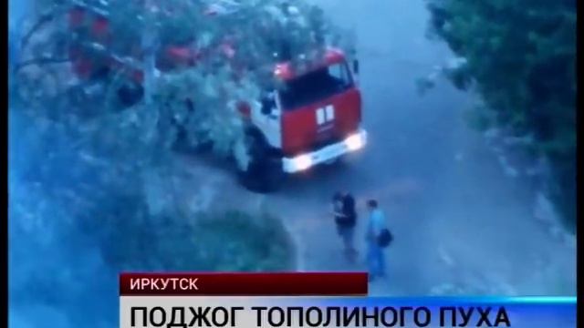 поджог тополиного пуха смотреть онлайн