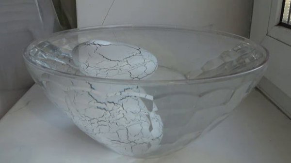 Dinosaur egg: яйцо диназовра