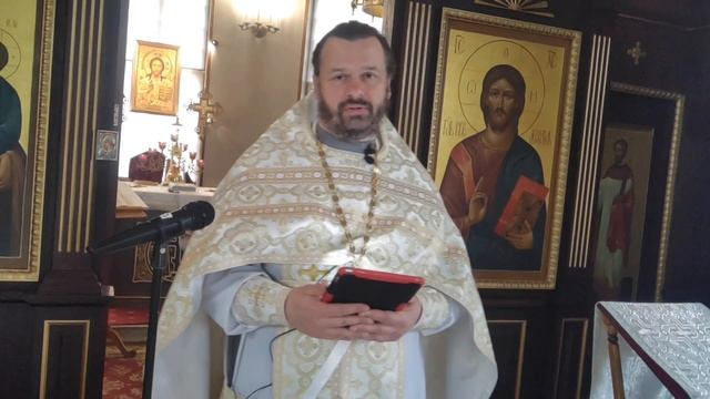 Деяния о Литургии верных смотреть онлайн