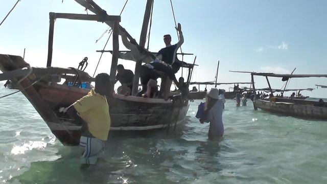 Zanzibar. 2019/2020 смотреть онлайн