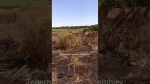 Украинская 203-мм самоходная пушка большой мощности 2С7 «Пион» вышла из чата в ходе контрбатарейной