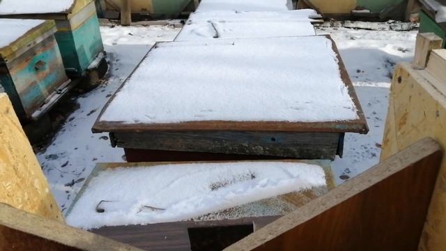 6-рамочник размеры и изготовление смотреть онлайн