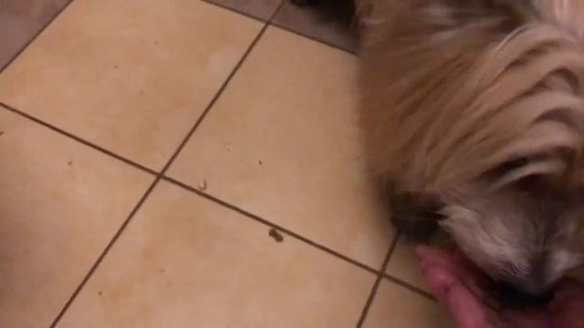 834.Эстония.Безвозмездно! #слюбовьюизэстонии #novatinafilm #vlog