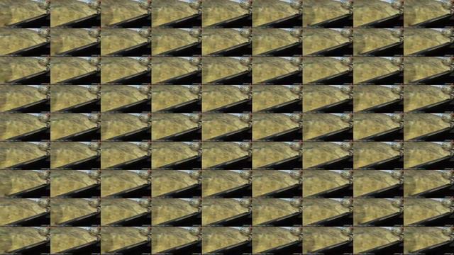 [Лётчик 100lvl]Играл пока меня не было дома#2{BF2}