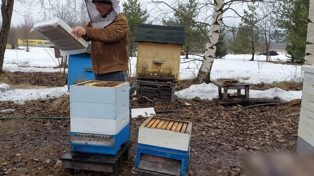 Первые работы с семьями смотреть онлайн