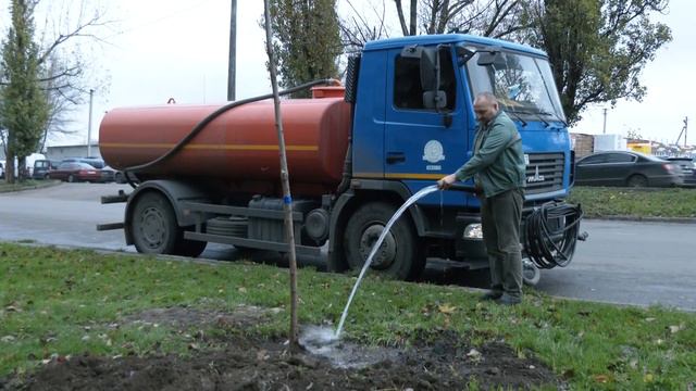 В Одесі триває акція з висадки тисячі саджанців білої акації в різних районах міста смотреть онлайн