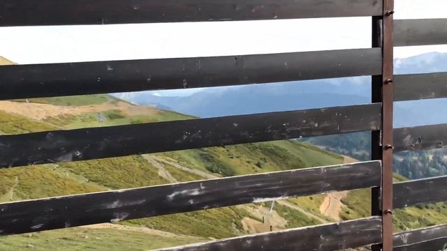 Подъем на РОЗА ПИК живые эмоции и смертельная опасность от медведей смотреть онлайн