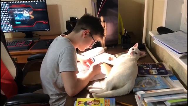 КОТ КУЗЯ ПОМОГАЕТ ДЕЛАТЬ УРОКИ И КОНТРОЛИРУЕТ ПРОЦЕСС. смотреть онлайн