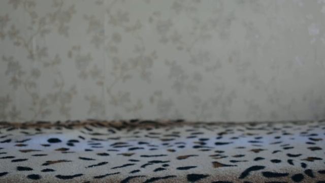 Обзор на канцелярские покупки для школы :з смотреть онлайн