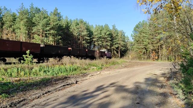 Поезд едет в лесу смотреть онлайн