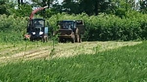 Укос гороха Овсяной тракторами мтз 80 с прицепным комбаийн ксд 2,0  и мтз 52 с кормо раздачиком.