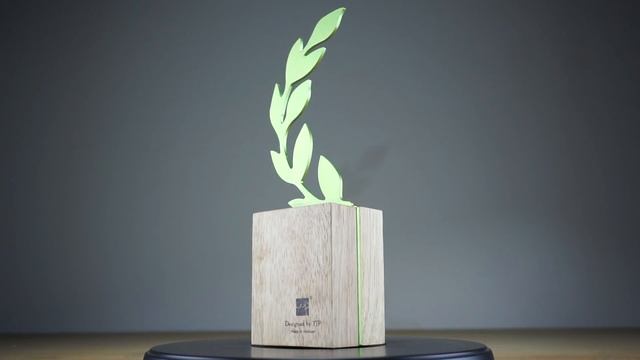 PARADISE AWARD смотреть онлайн