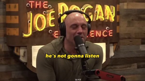 Andrew Huberman and Joe Rogan Explain Why Lex Fridman Is Single | The Joe Rogan Experience(JRE)
