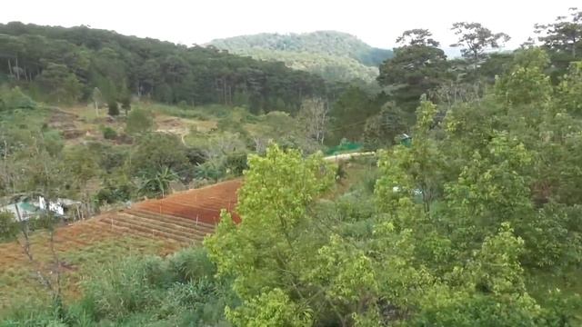 Комбо тур во Вьетнам  за 95т.р. Нячанг  - Далат - Муйне. Часть 2.  покинули Нячанг