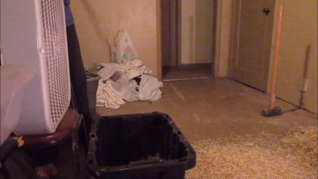 How To Clean Seeds