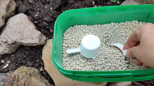 Подкормка растений. Как сэкономить время?