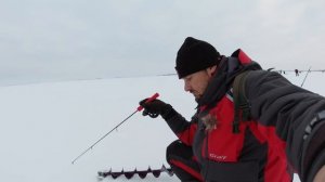 5 ошибок новичка при ловле судака на вибы и ратлины зимой. Не делай эти ошибки и поймаешь!!!