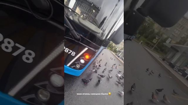 Марк Булах подкинул голубя смотреть онлайн