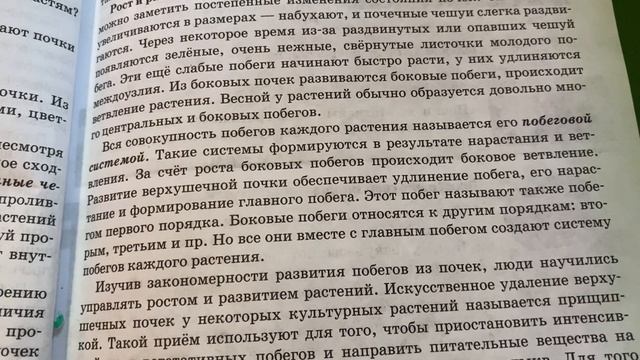 Биология/6 класс/Исаева/ Тема: Почки.Внешнее и внутреннее строение/20.12.20 смотреть онлайн