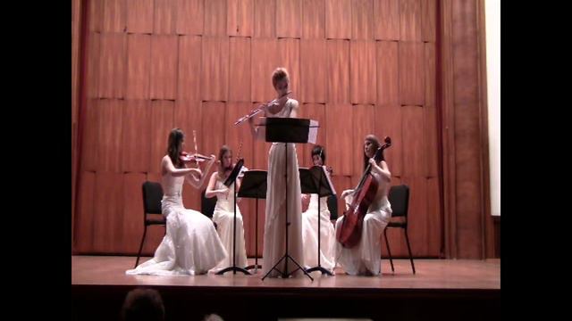 Antonio Vivaldi - Four seasons - WINTER - 1st movement for flute and string quartet смотреть онлайн