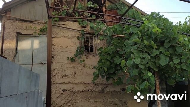 А МЫ ПРОДОЛЖАЕМ ОБУСТРАИВАТЬ ДВОР. ХАЧАПУРИ СЛОИСТЫЕ/ #хачапури #влог смотреть онлайн