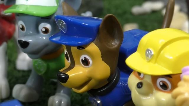 Chase and Marshall Clone Themselves to carry out Rescues смотреть онлайн